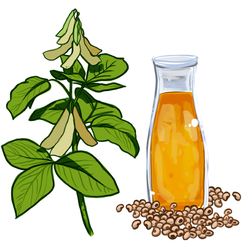 Avatar n°aceite-de-soya