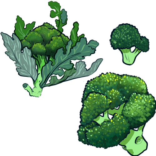 Avatar n°brocoli