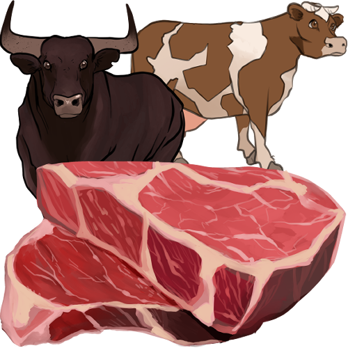 Avatar n°carne-de-res