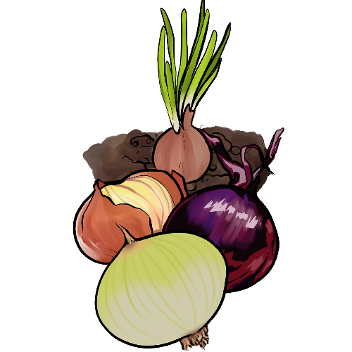 Avatar n°cebolla