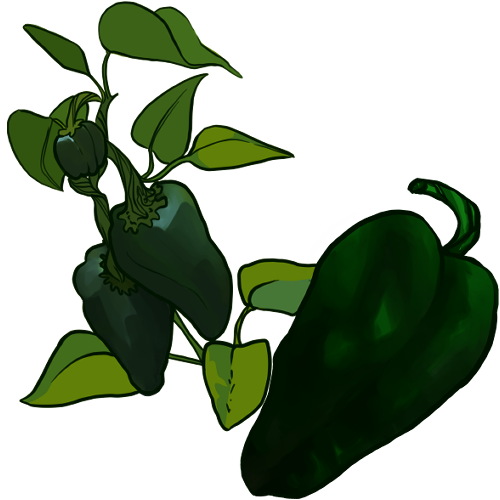 Avatar n°chile-poblano